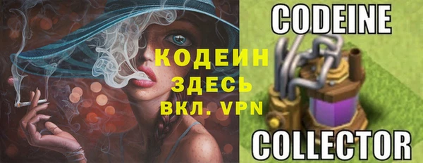 амф Коряжма
