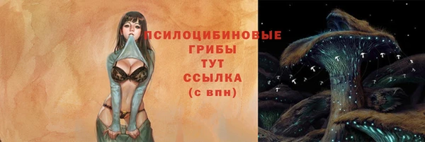 амф Коряжма