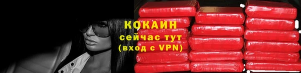 хмурый Магас