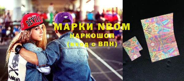 молекула духа Богданович